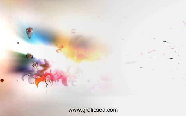 Color Flower Background Studio Wallpaper Free Download