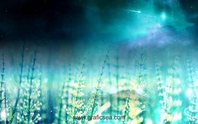 Fields Stars Night Natural Wall Decoration Image Free download