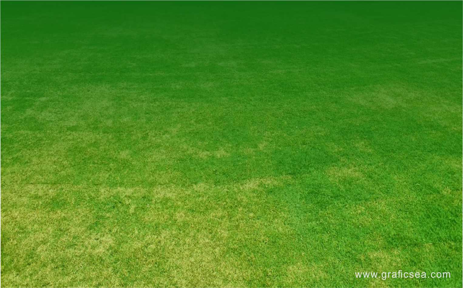Play Ground Grass Background hd image free download