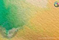 Golden and Green Texture Splash Wallpaper
