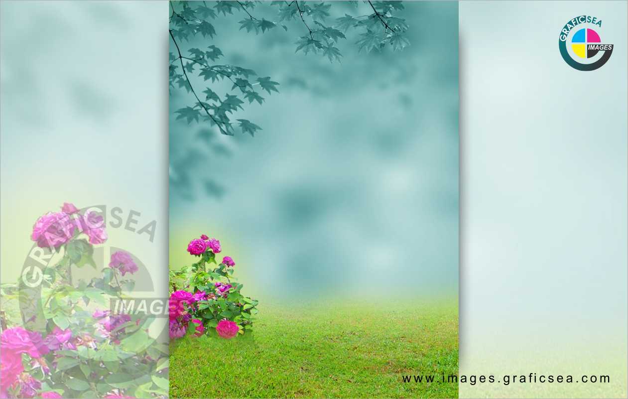 Red Rose Garden Couple Photo Background Free Download
