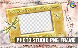 Golden Family Photo Shoot Editing Frame PNG